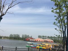 -上海长兴岛郊野公园