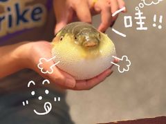 -永安鱼庄·镇江菜(东吴路店)