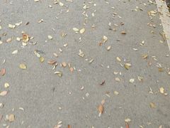 -团城山公园