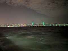 大桥夜景-港珠澳大桥码头