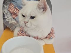 -天虹购物中心(深圳龙华店)