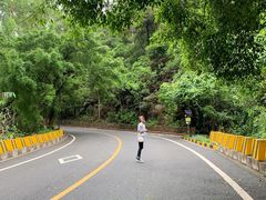 -大雁山风景区