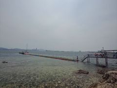 -养马岛旅游度假区