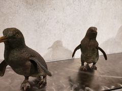 -企鹅岛