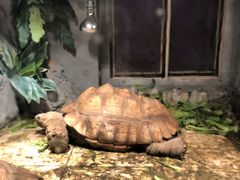 -合肥野生动物园