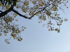 -晓港公园