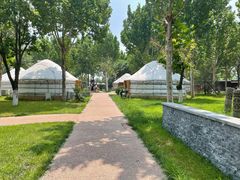 -九十九顶毡房(阜石路店)