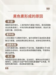 点击看大图 -玛莲朵·海菲秀冰珀科