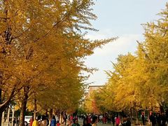 -辽宁大学(崇山校区)