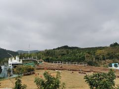 -瓷天下海丝谷