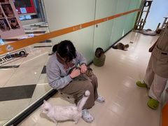 -三花喵·撸猫购宠·宠物生活馆(虹桥南丰城店)