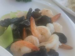 -云中小雅