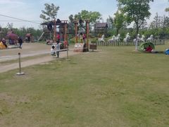 -上海长兴岛郊野公园