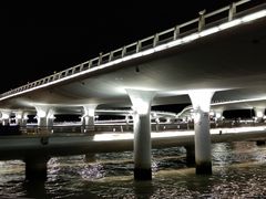 -演武大桥观景平台