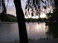 -青年湖公园水上世界