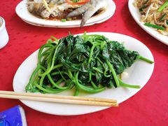 番薯叶-蛇口康乐快餐鱼仔档(翠苑小区店)