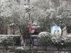 -回坊马二饺子馆