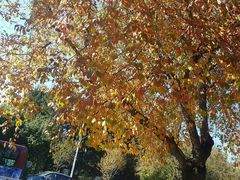 -韩国利尔面包(桂林路店)