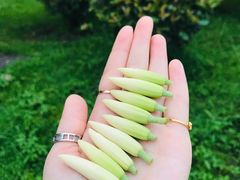 -凡烟外慢生活体验馆