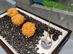 -丁老爷子苏香圆