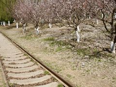 -永定河休闲森林公园