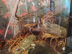 -渔洲情海鲜酒家
