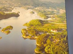 -谢云贵清香水煮鸡(总店)