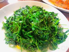 -双塔老饭店