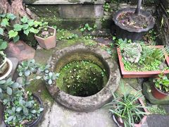 -恺庐茶园(宽窄巷子景区店)