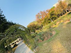 -人民公园(罗湖区)