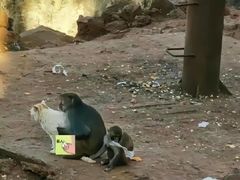 -昆明动物园