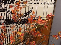 -华夏良子·足道SPA艾灸(中关村旗舰店)