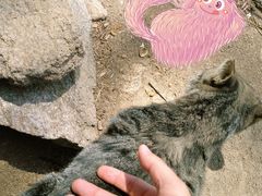 -崂山九水游览区