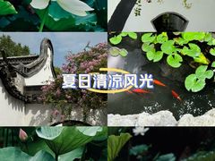 -上海醉白池公园