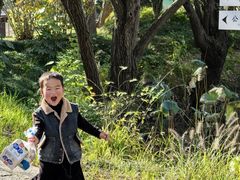 -长兴太湖图影湿地文化园