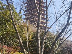 -牛首山文化旅游区