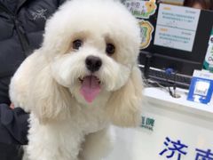 -心仪动物医院·牙专科·肿瘤·心脏科(西客站院)