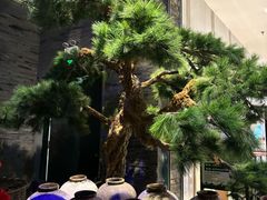 -绿茶餐厅(千岛湖银泰城店)