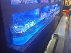 -徐记海鲜(大雁塔|金都店)