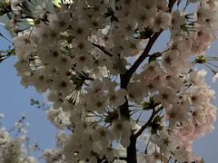 -红星美凯龙北京至尊MALL(东四环中路店)