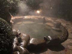 -天目湖涵田半山温泉