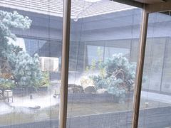 -绿茶餐厅(成都太古里店)
