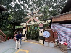 -西双版纳原始森林公园