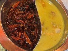 浓汤原只花胶鸡煲-鲜入围煮花胶鸡海鲜火锅