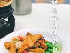 花胶鸡松茸烧豆腐-香港富临皇宫(五月花商业广场店)