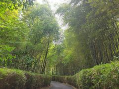 -天目湖涵田度假村