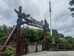 -广州长隆飞鸟乐园
