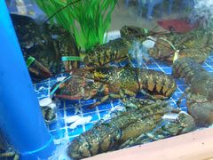 水产区-富临港·蒸汽海鲜·手抓海鲜·炒菜(栈桥店)