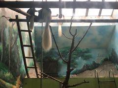 -石家庄市动物园