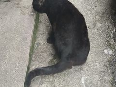 -野水沟小商品批发市场